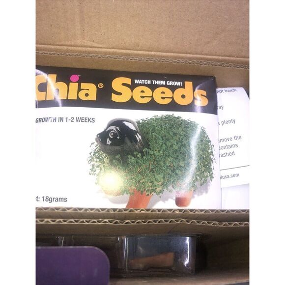 Wednesday Addams Chia Pet Handmade Decorative Planter  Addams Family, Open Box - Picture 4 of 7